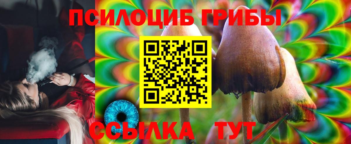 Ефремов  Псилоцибиновые грибы Psilocybe  продажа наркотиков  Вход с VPN 