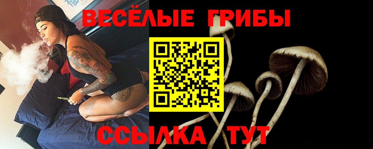 Псилоцибиновые грибы Magic Shrooms Ефремов